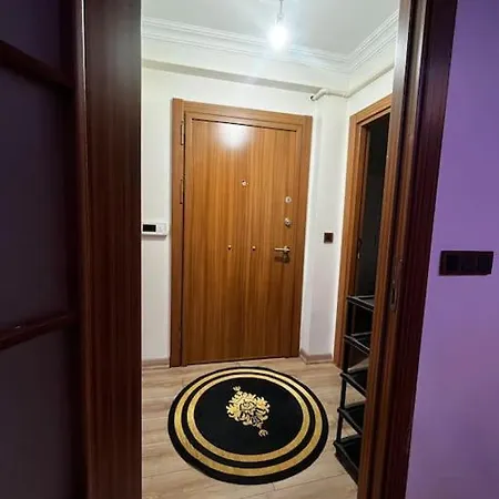 1+1 Luks Esyali Istanbul'un Merkezinde Istanbul